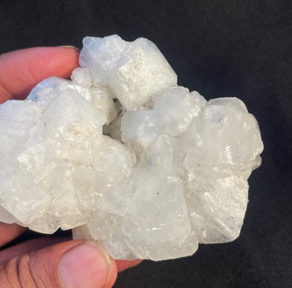 Stunning Apophyllite crystal cube in matrix specimen