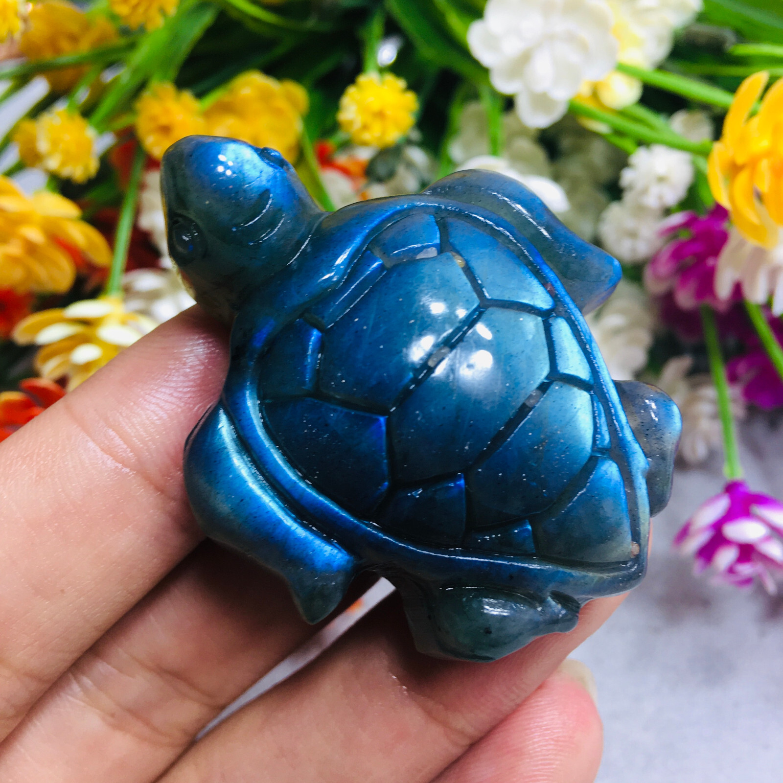 Natural Labradorite tortoise Quartz Skull Crystal Sea Turtle Reiki Healing Gift