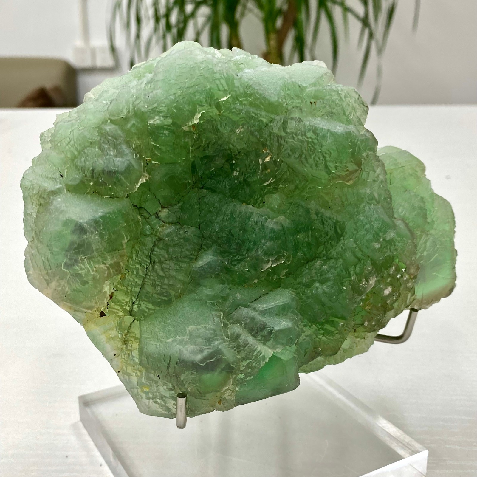 3.64LB Natural transparent green cubic fluorite mineral crystal sample/China