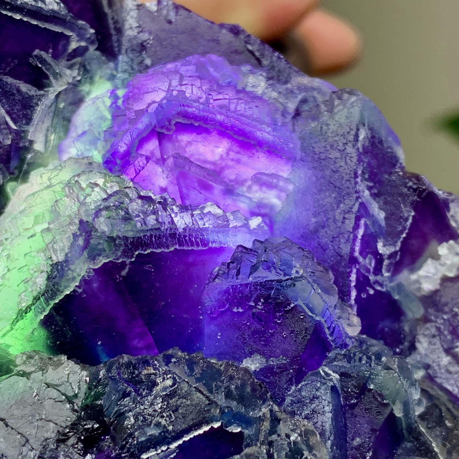643G Rare transparent purple octahedron fluorite mineral crystal sample/China