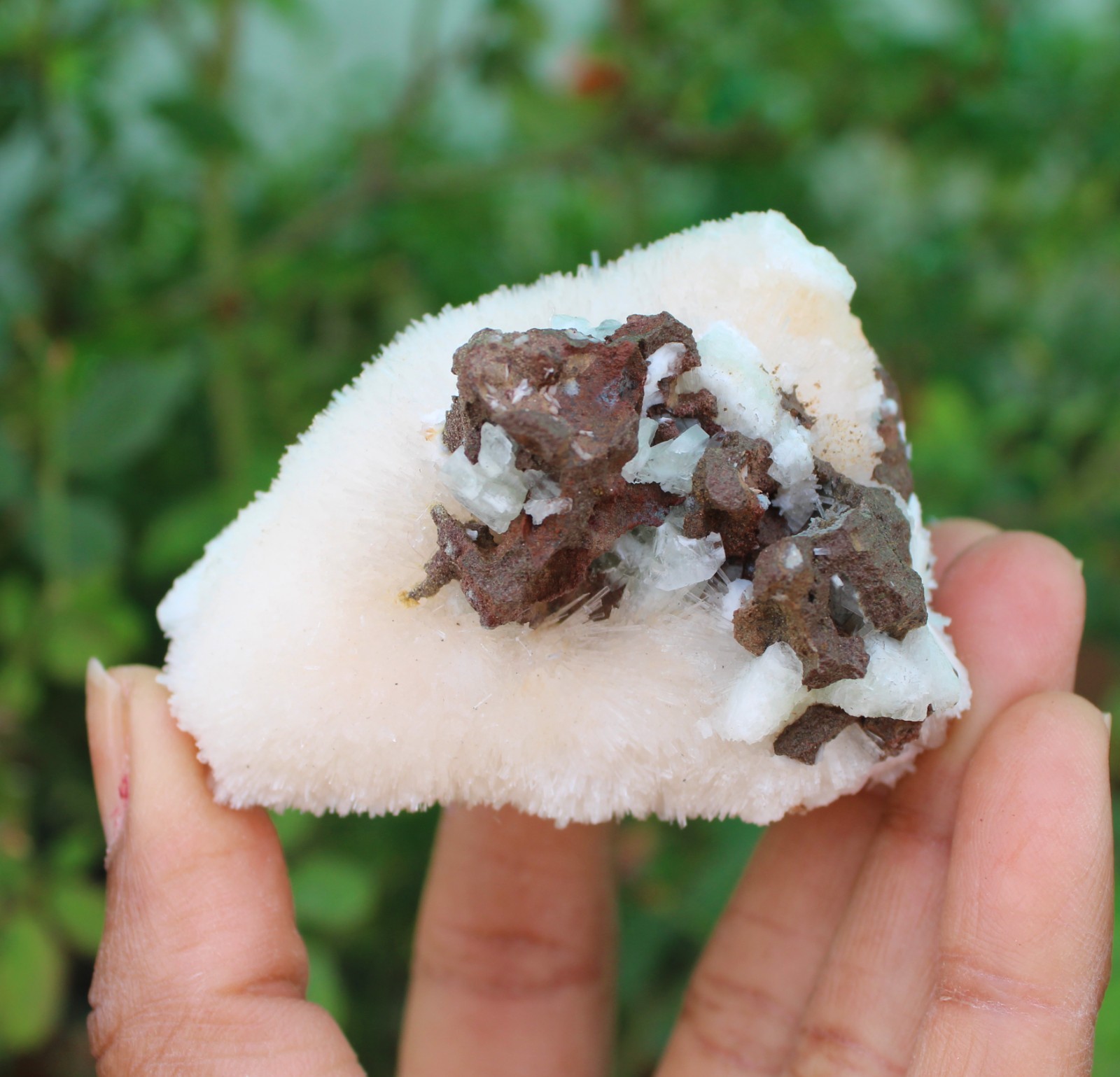 SCOLECITE ON MATRIX MINERALS SPECIMEN