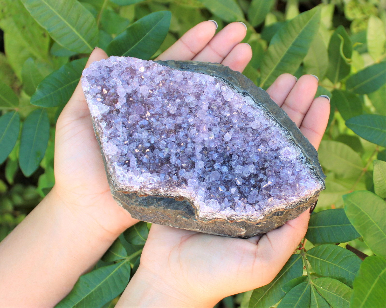 Clearance Amethyst Crystal Clusters – Natural ‘B’ Grade Cluster Druze Specimens