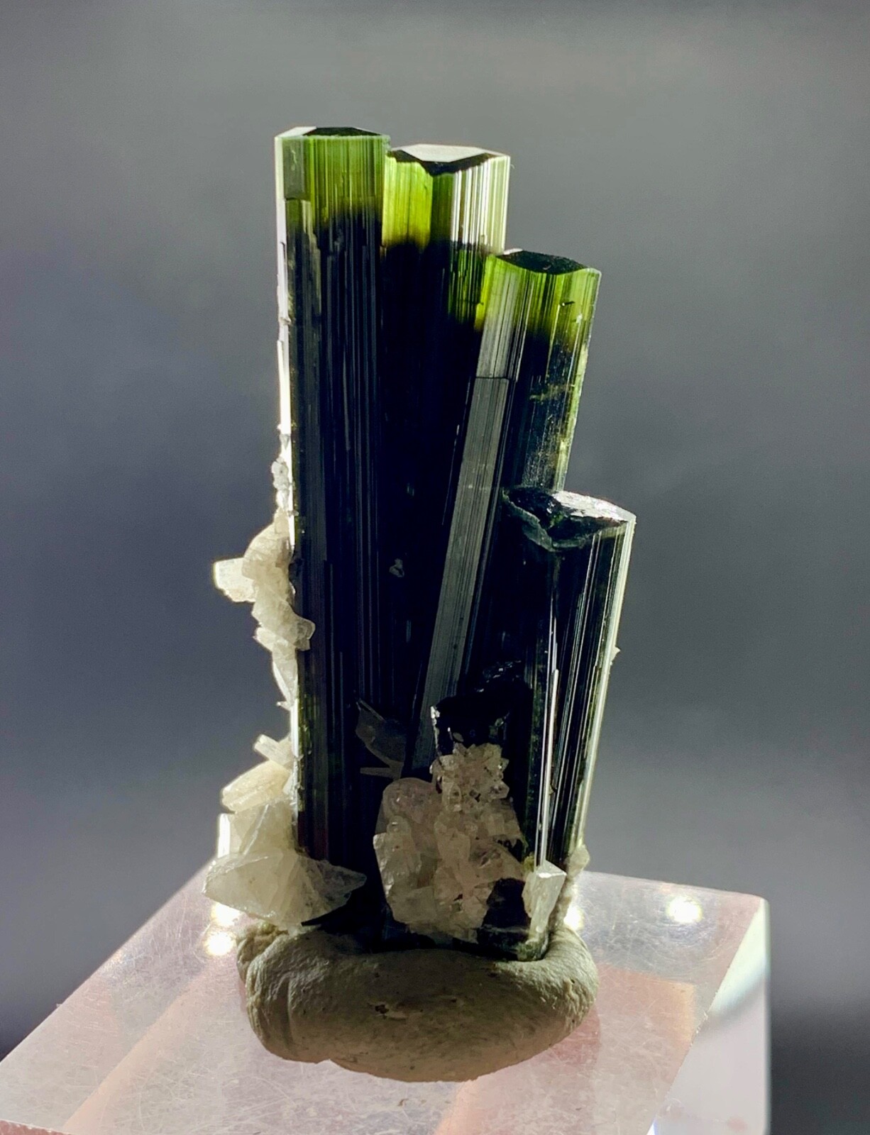 24 Gram Supper Fantastic Green Cap Tourmaline crystal penetrate in quartz beauty