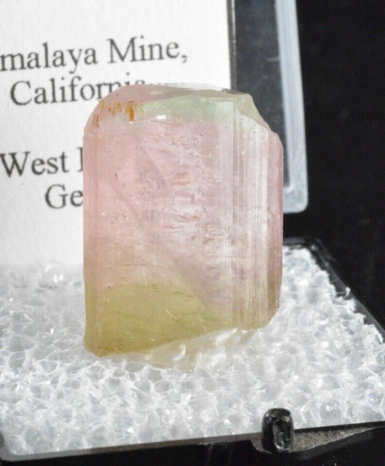 Tourmaline Crystal, Himalaya Mine, California 19×15.3×9.1mm