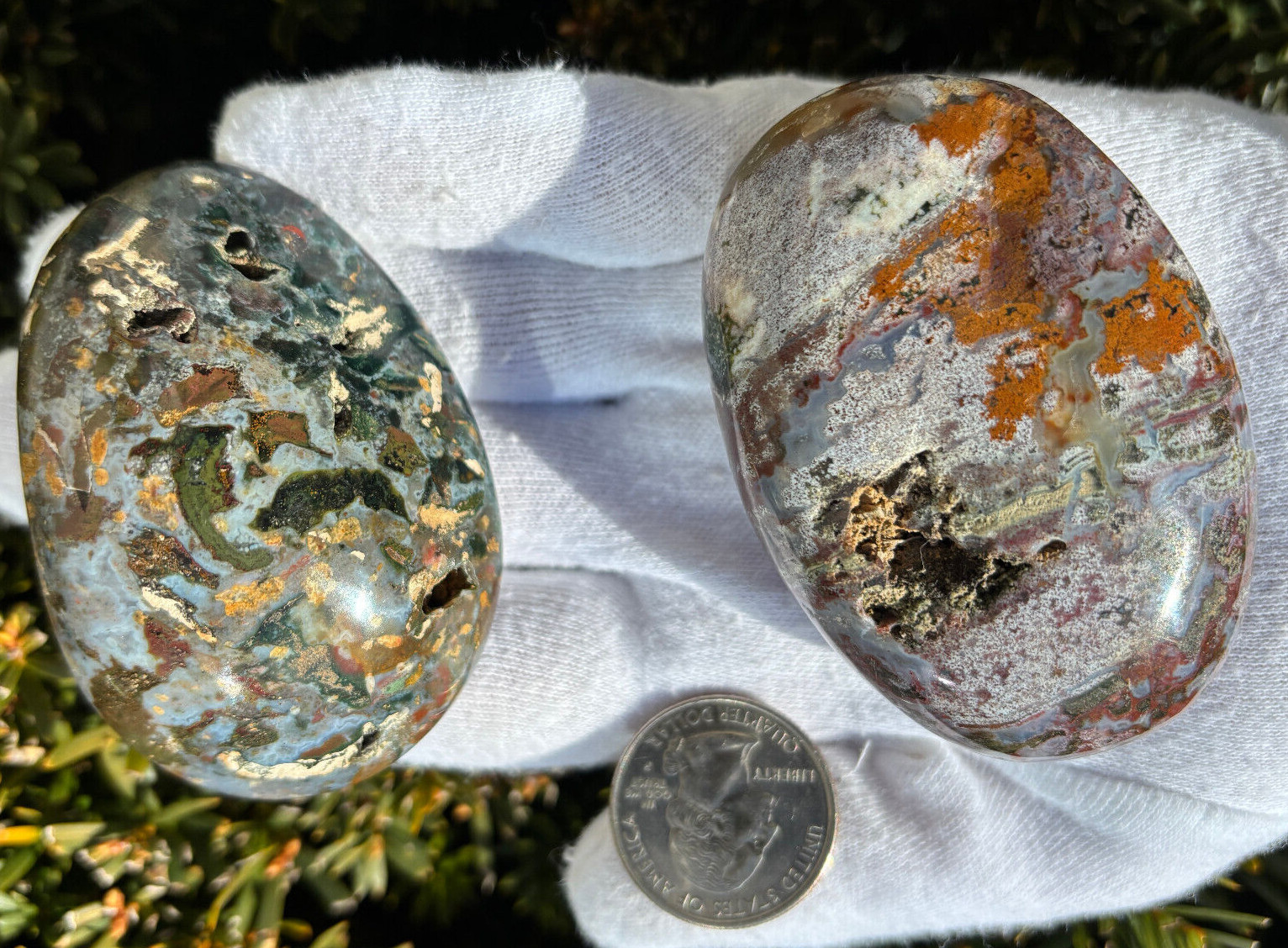 USA SALE 242g LOT OCEAN JASPER OJ PALMSTONES PALM STONES Palm Stone
