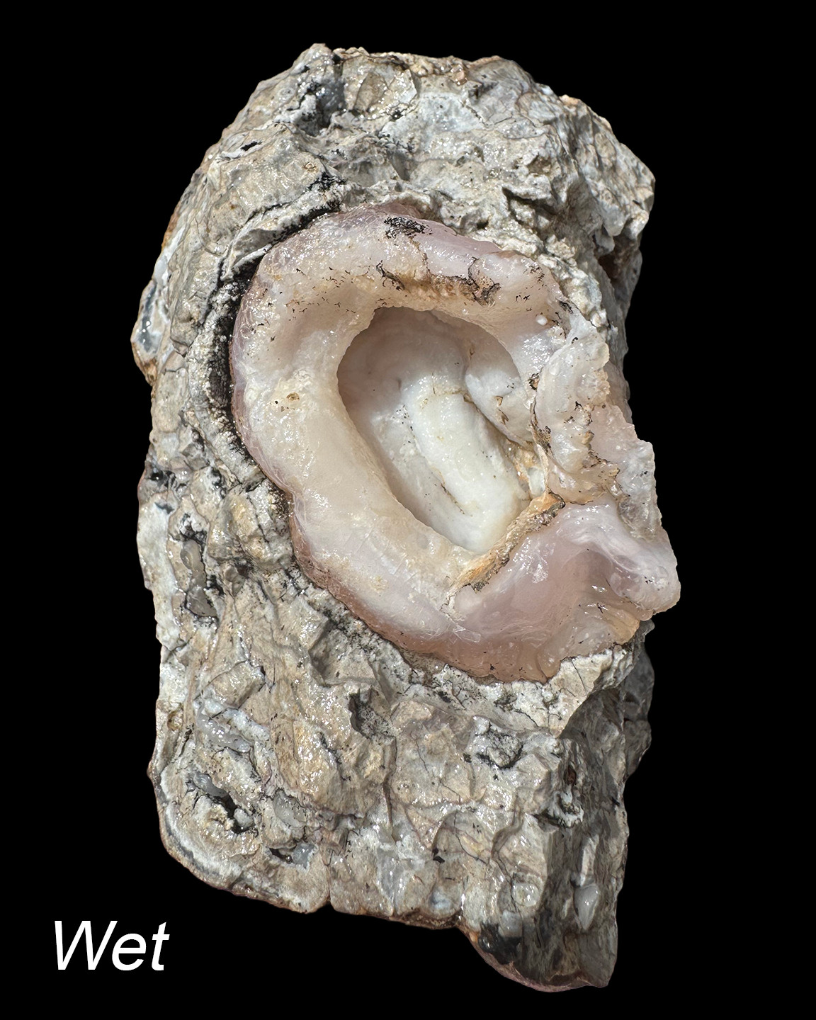 1.5 LB Unique Quartz Vug Agate Geode for display from United States