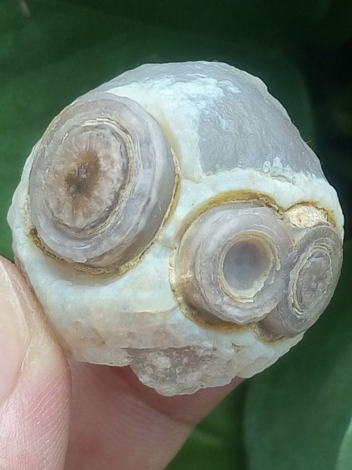 32mm Natural Gobi agate eye agate collection Landscape stone