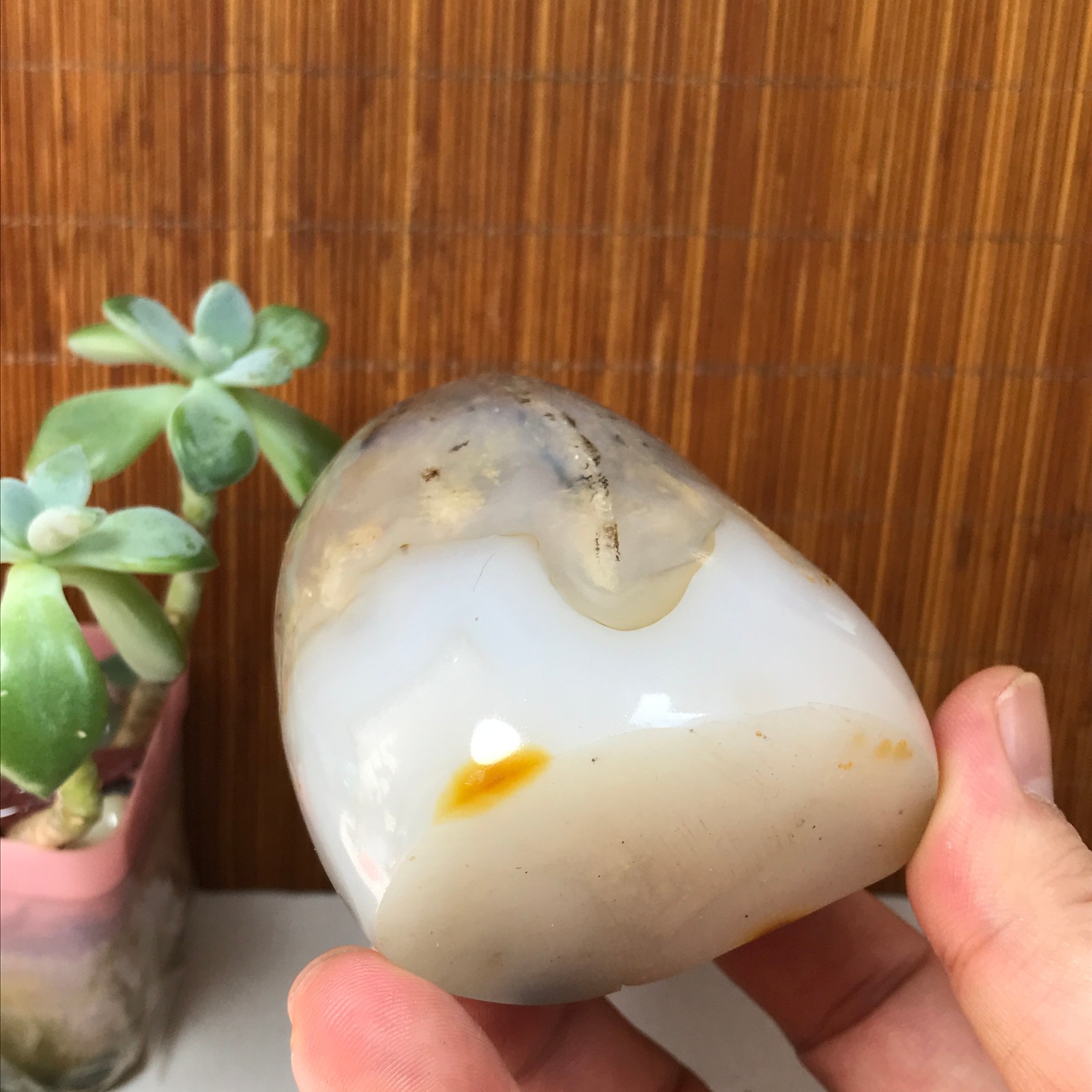77-74-50mm Natural aquatic plants agate pretty Crystal specimens 433g A1877
