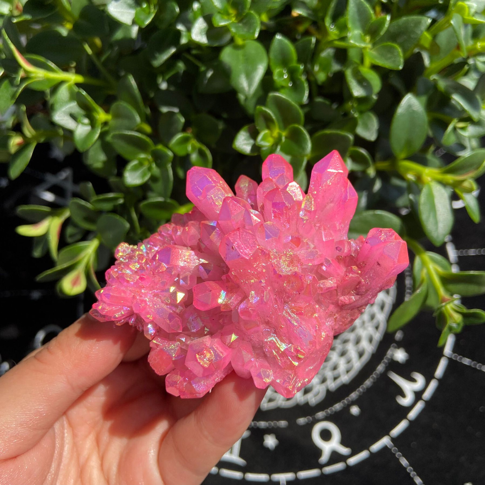 104g Titanium Angel Aura Quartz Pink Aura Cluster Positive Energy Stone Decor