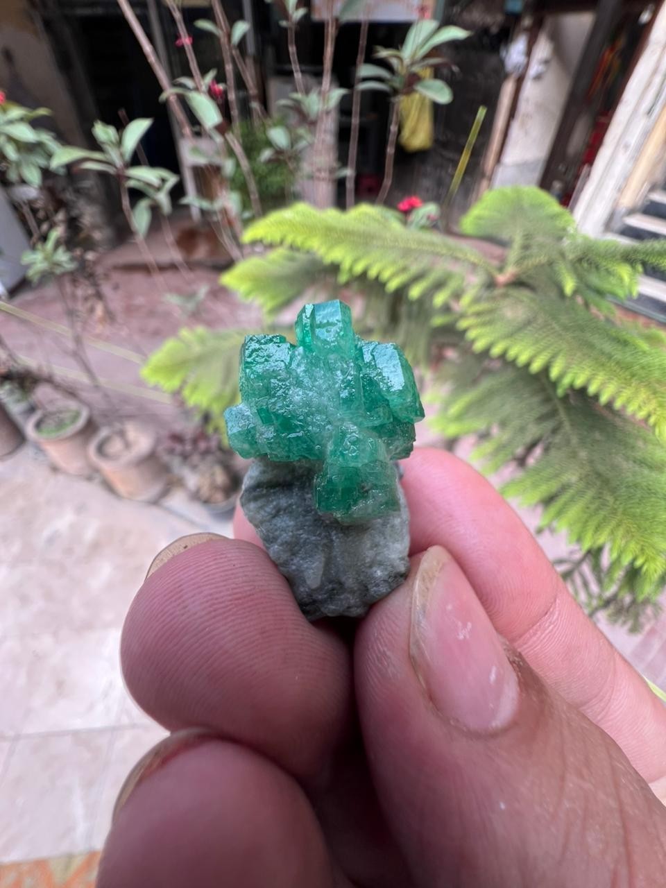 15Gm | Natural Emerald Crystal Bunch In Matrix Specimen l Swat, Pakistan.
