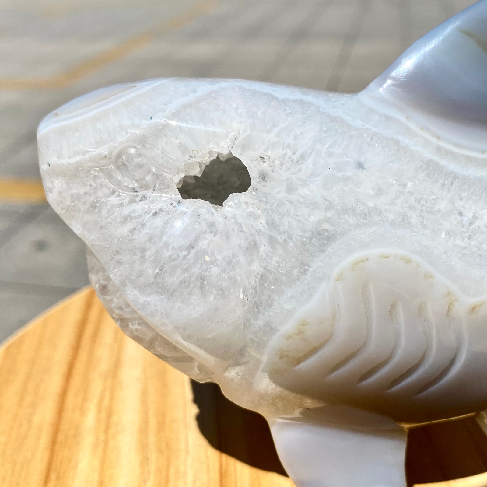 1.65LB Natural Agate Hand Carved Shark Figurine, Ocean Power Crystal Statue