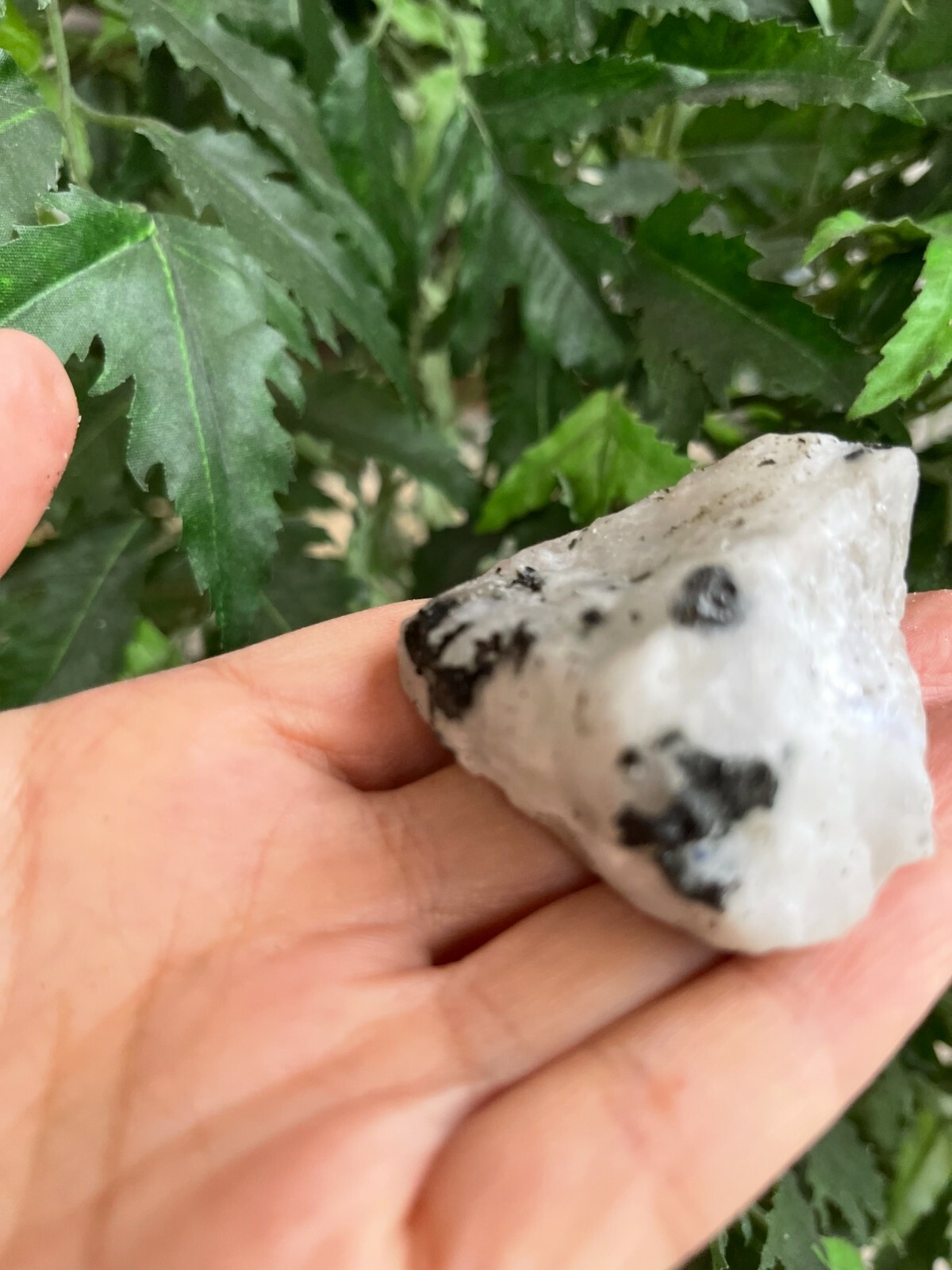 Grade A+ Rainbow Moonstone Raw Stone,Rough Rainbow Moonstone.Wholesale Bulk Lot
