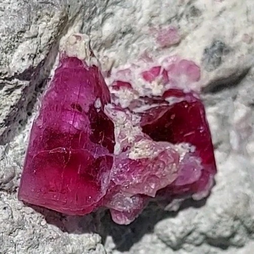 ULTRA GEM FACET GRADE SECTIONS LARGE RED BERYL / BIXBITE ON MATRIX UTAH, USA