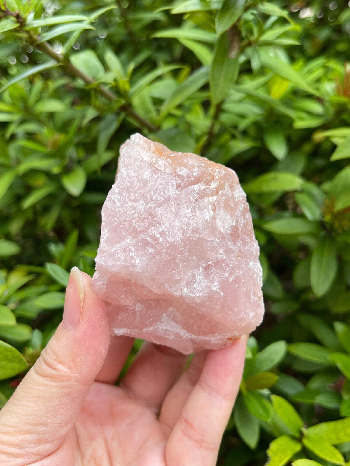 Large Raw Stones, Natural Rough Stones 2-3, Choose From 40 Types Stones