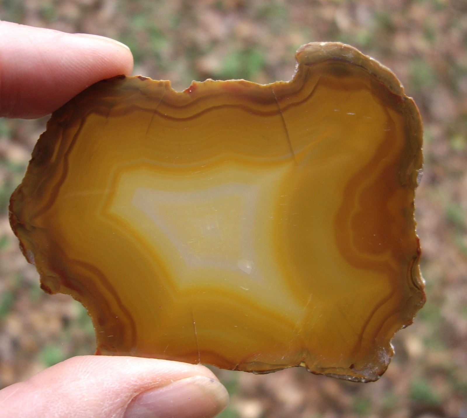 Rare Polished “Iris Agate” Slice with Backlight Color Bands from Indonesia 13.3g