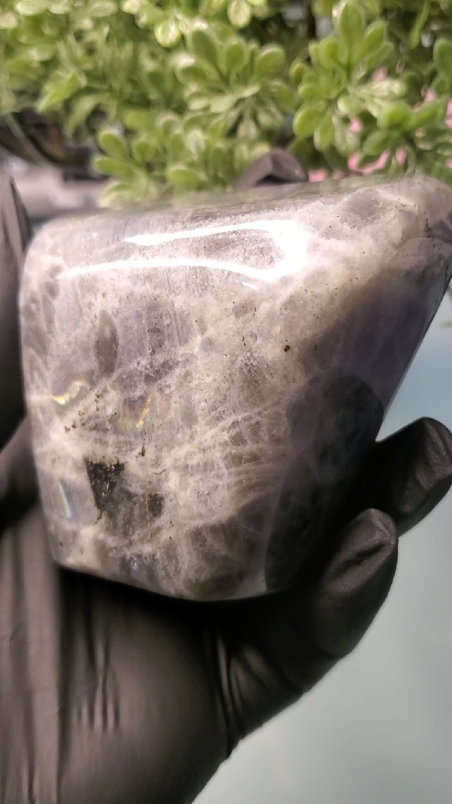 354g Natural Labradorite Quartz Crystal Freeform Mineral Specimen Healing