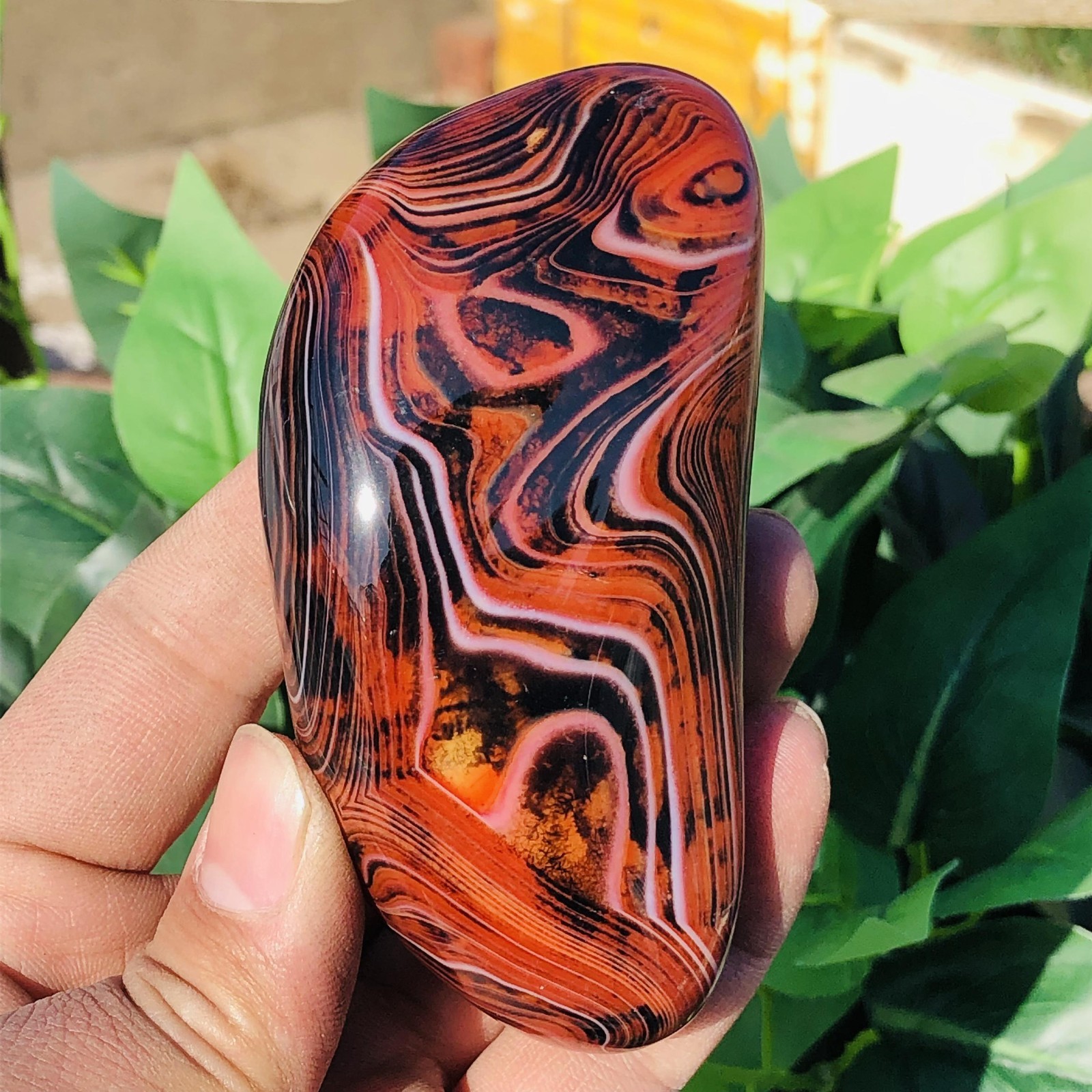 239g Natural Lace Banded Sardonyx Quartz Crystal Palm Stone Mineral Specimen