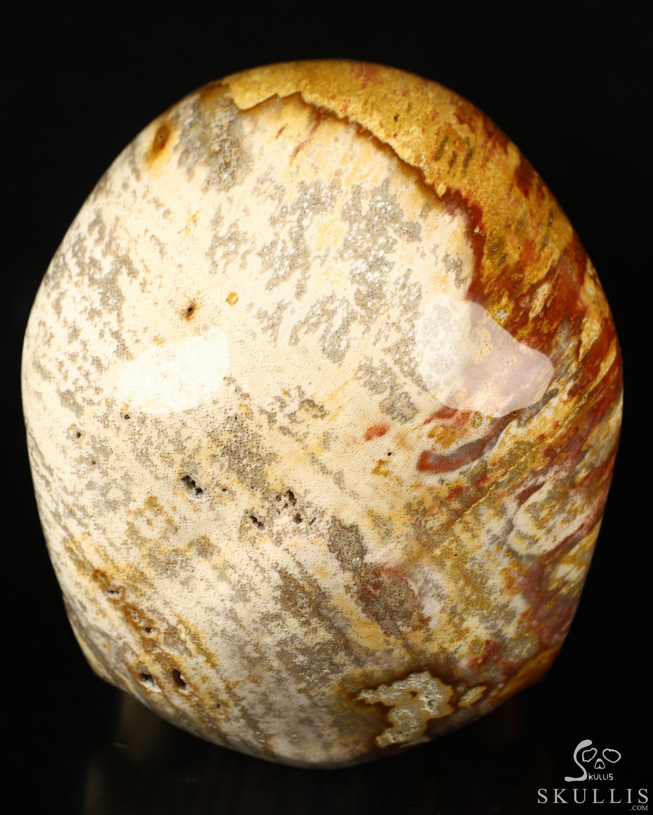 Lifesized 7.0″ Petrified Wood Carved Crystal Skull,Super Realistic, Healing