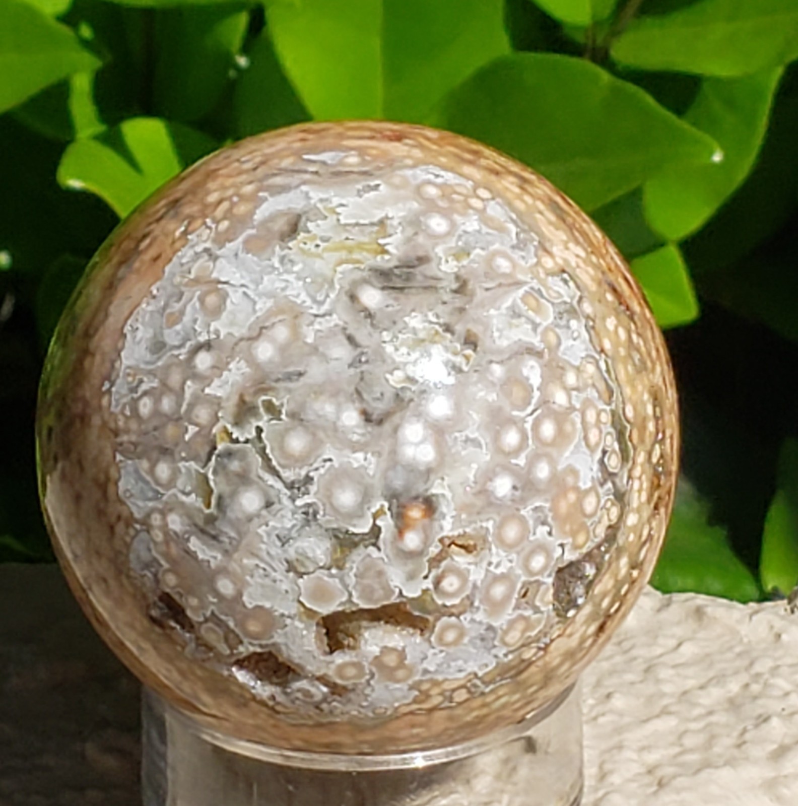 1.75″ Natural 8th Vein Orbicular Ocean Jasper Crystal Sphere Quartz Druzy, 121g