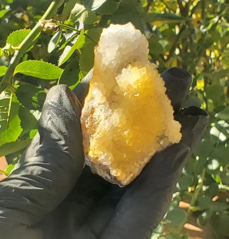 Natural Golden Healer Cluster Specimen 70g