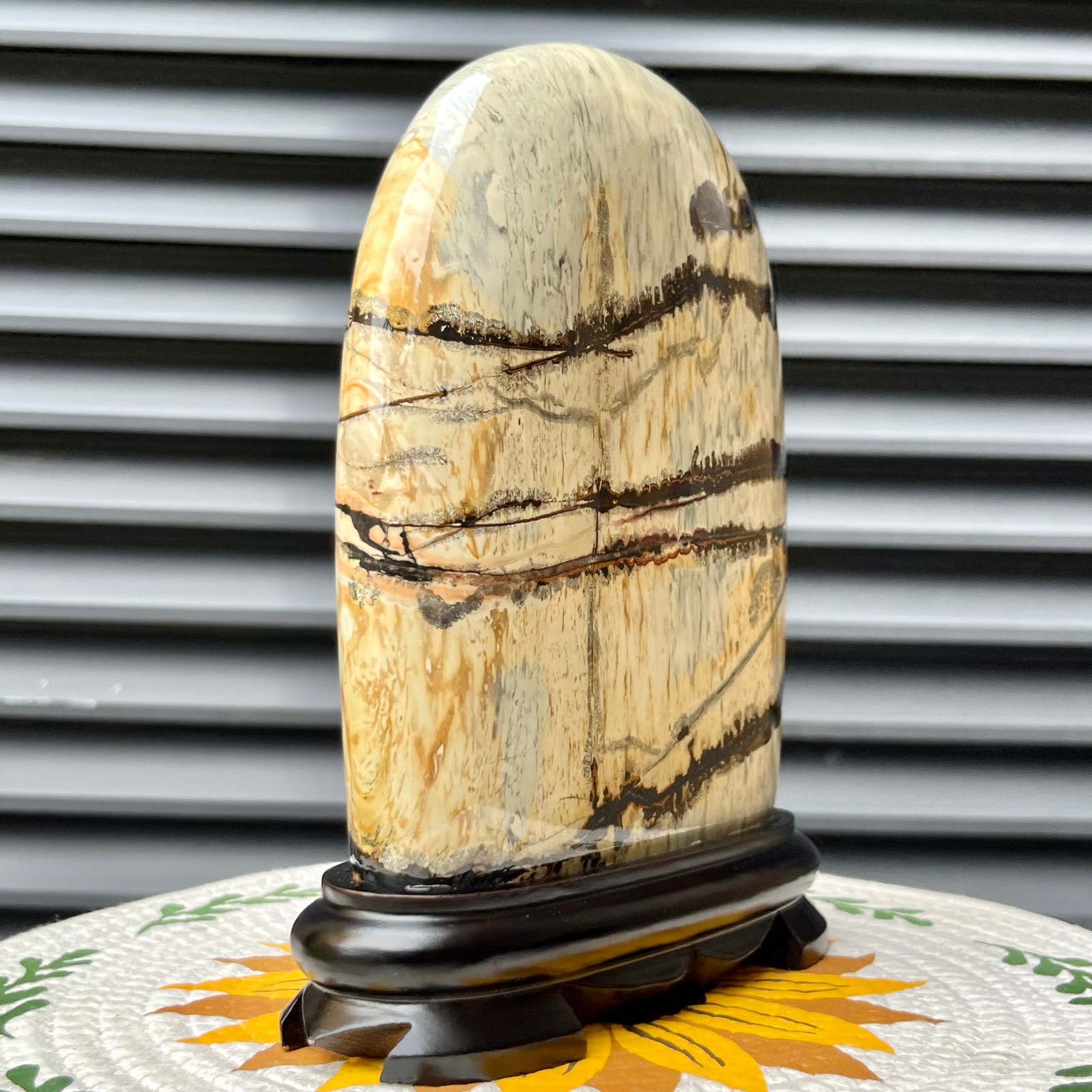 5.3 lb Landscape Stone Polished Arc Mineral Specimen Collectible Display Art