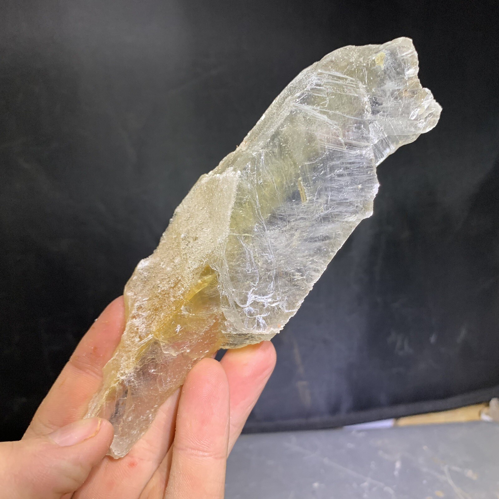 Clear Selenite Golden Phantom aka: Gypsum | Utah