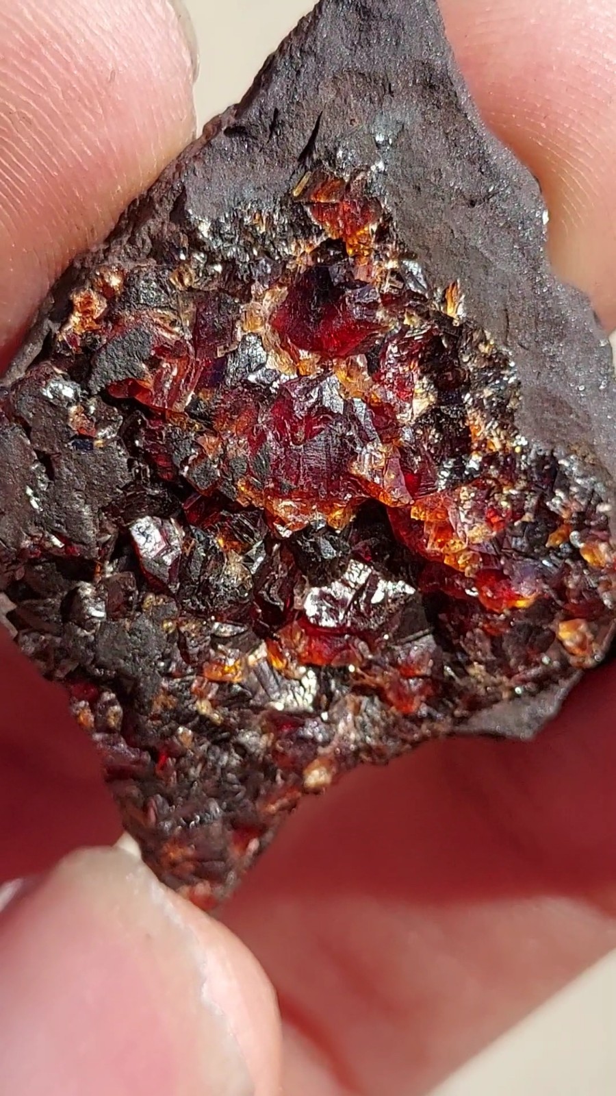 ULTRA RARE GEM RHODOCHROSITE ON MATRIX N’Chwaning I Mine, KMF, South Africa