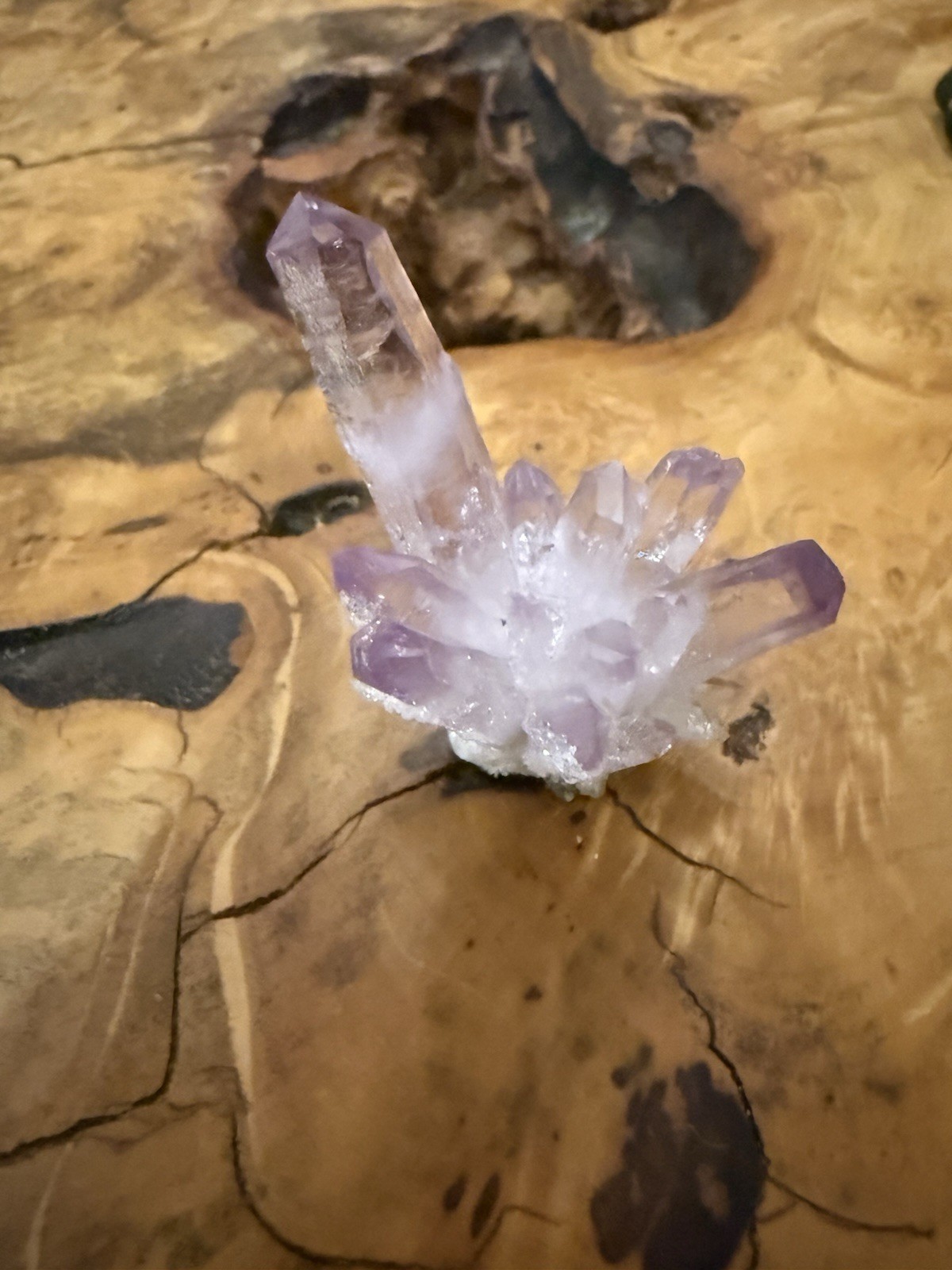 Veracruz amethyst crystal Cluster collector specimen w Druzy