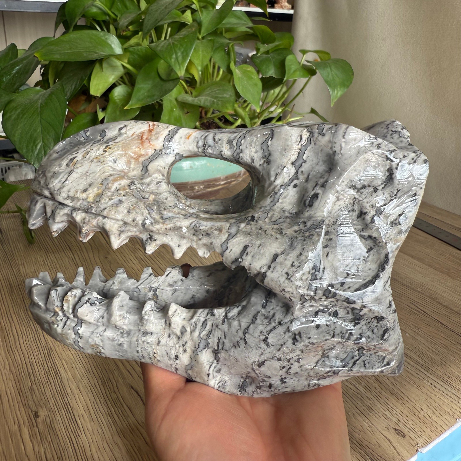 3LB natural Zebra stone Dinosaur skull carved Quartz Crystal reiki Gift
