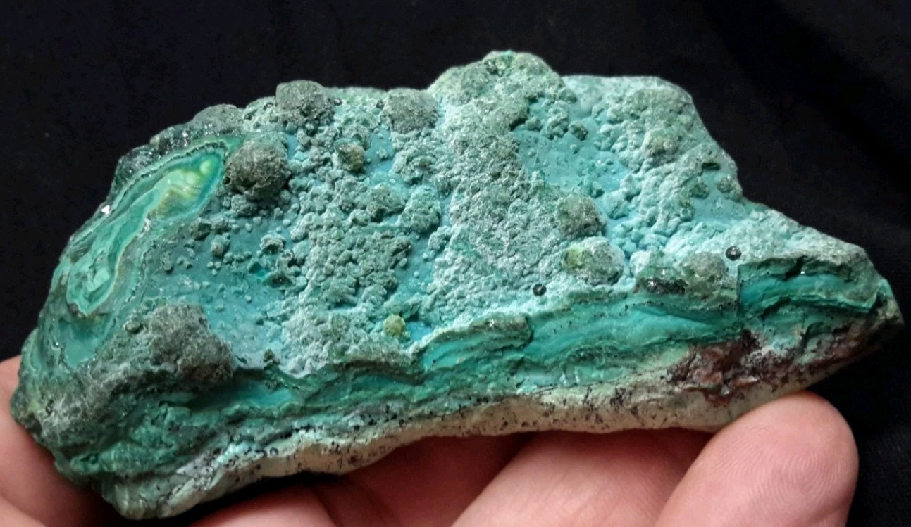 3.5″ MALACHITE from Katanga, Democratic Republic of the Congo