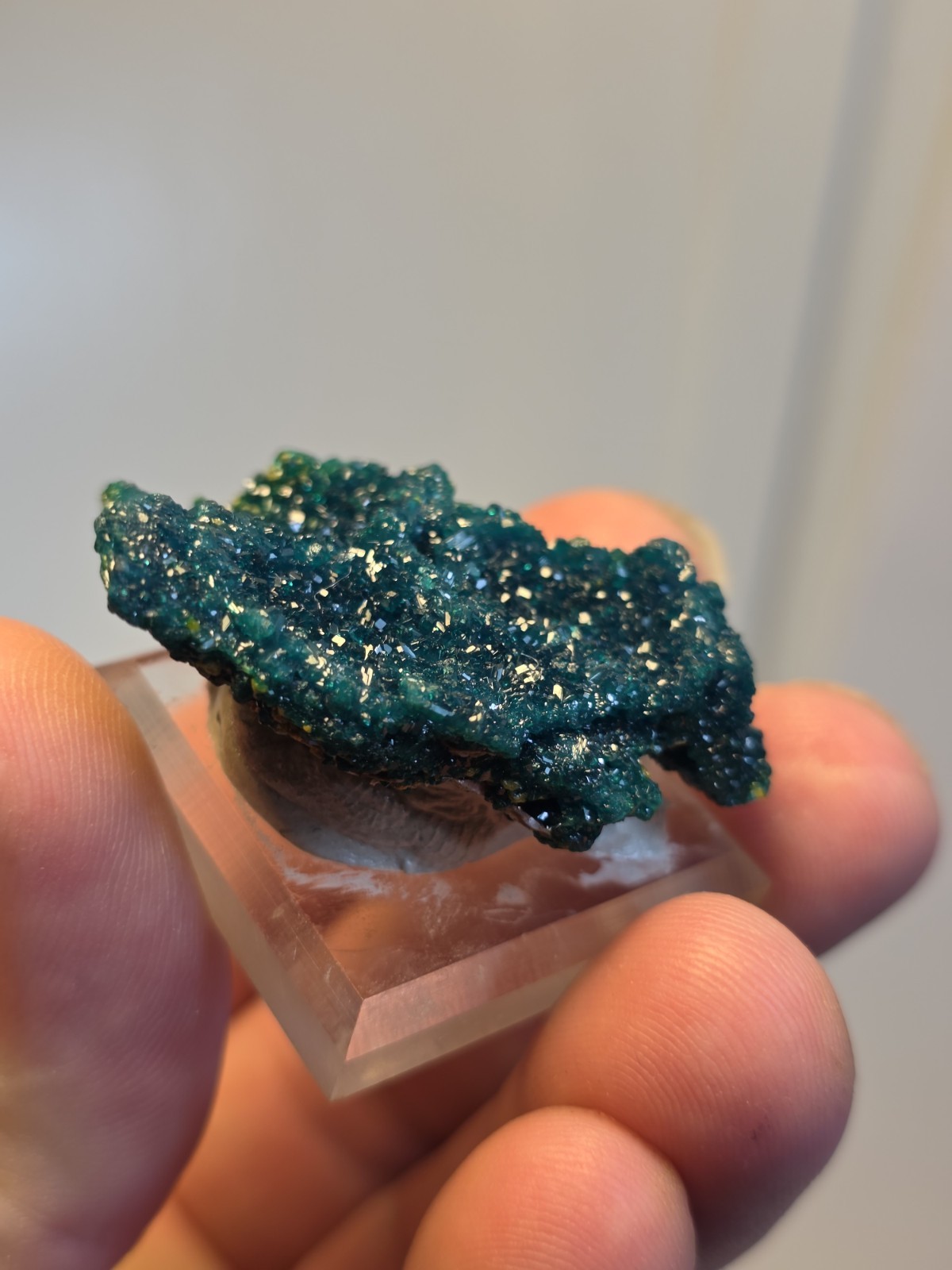DIOPTASE w/ Wulfinite Crystal Mineral Specimen Cluster Green CONGO AFRICA 4.5 cm