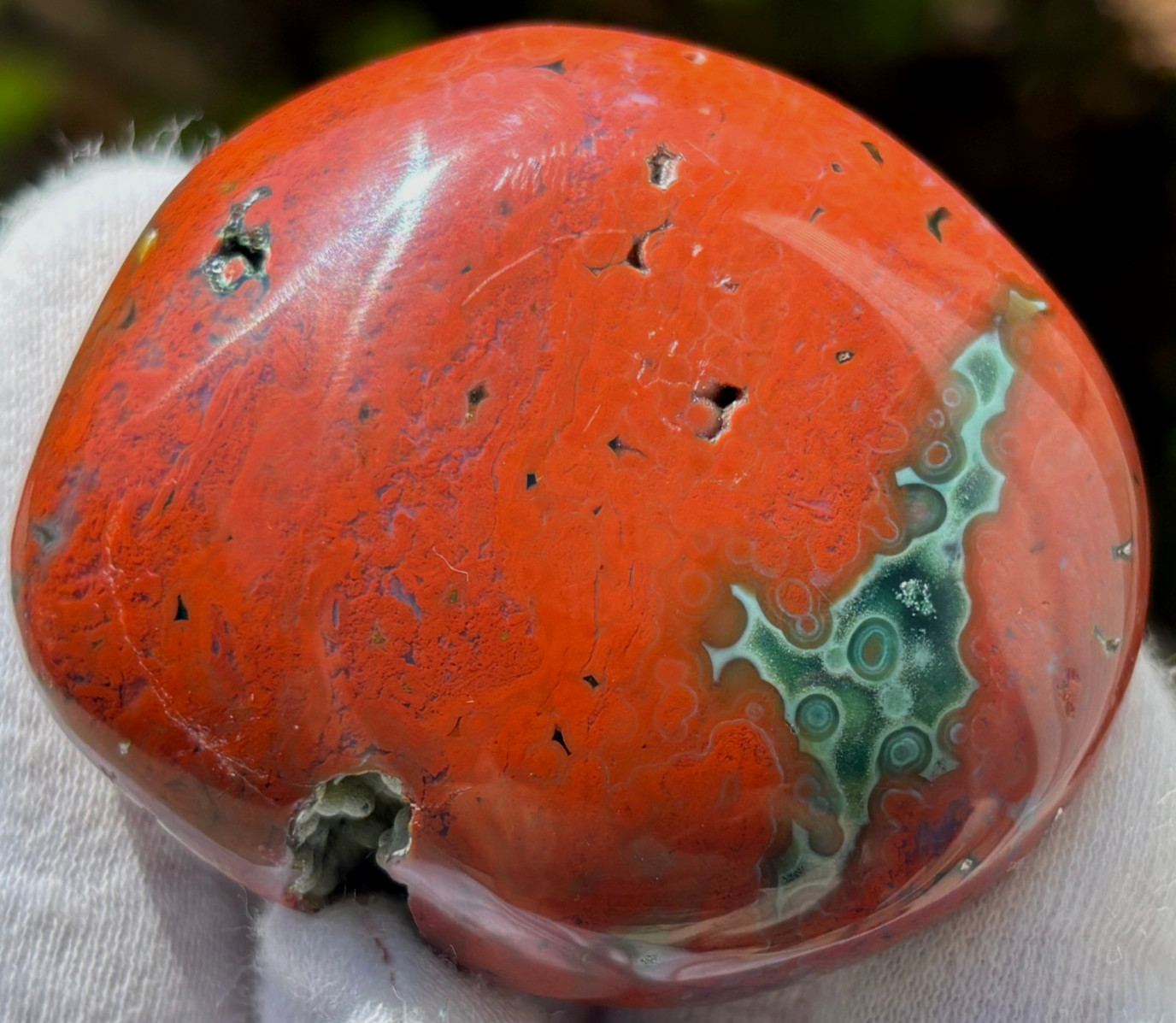 USA SALE 204g LOT OCEAN JASPER OJ PALMSTONE PALM STONES PALM STONE RED VEINLESS
