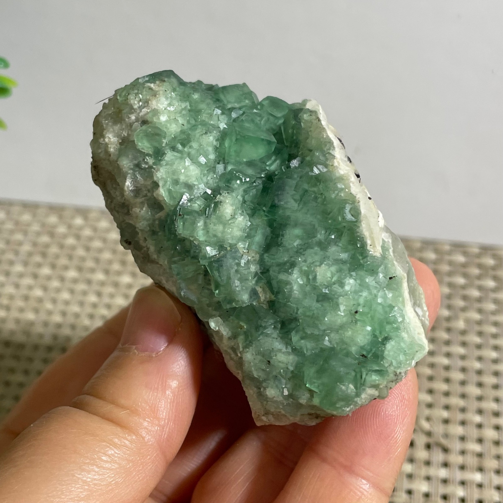 127g NATURAL Green Cube FLUORITE Quartz Crystal Cluster Mineral Specimen