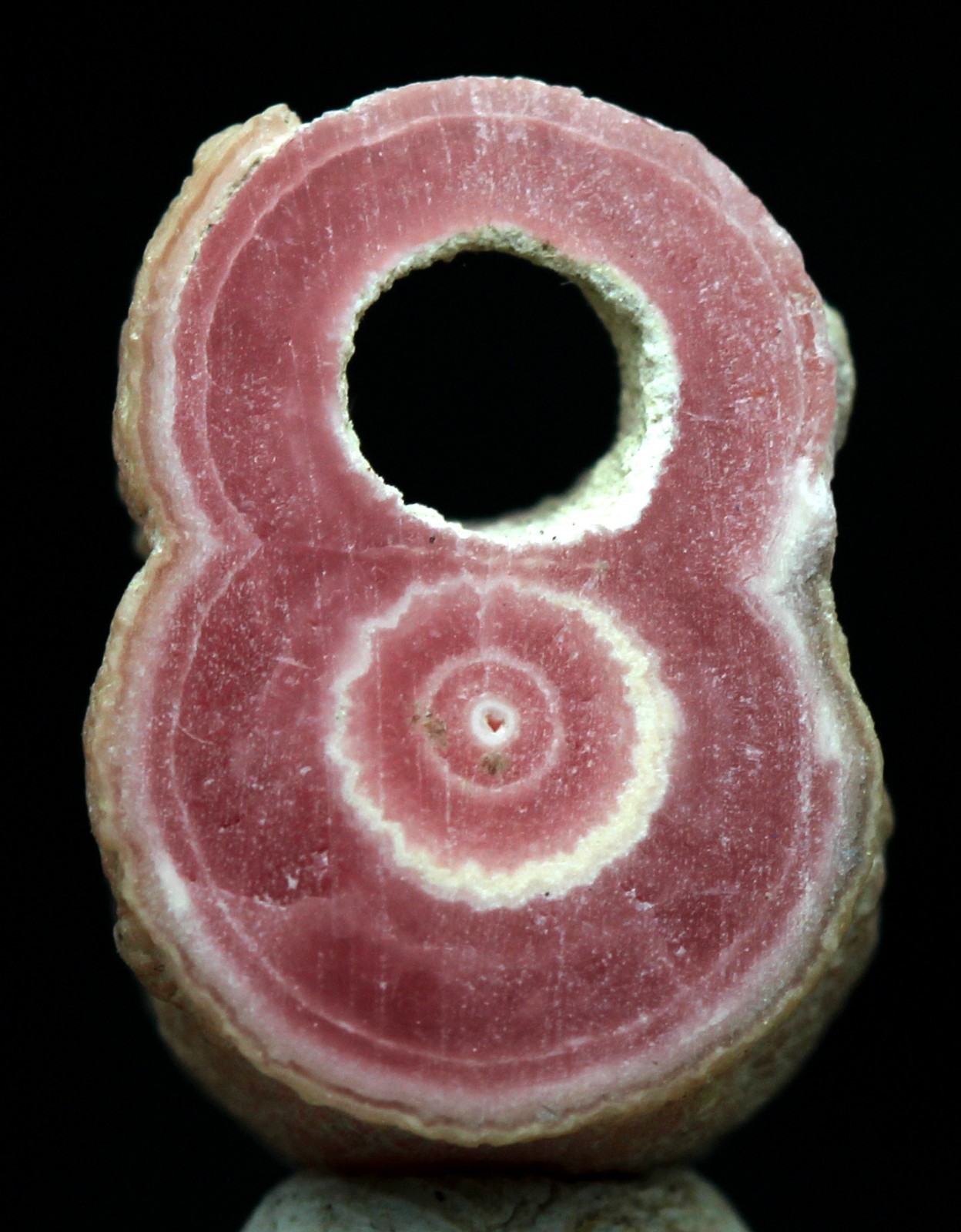 BANDED RHODOCHROSITE Mineral Specimen Stalactite Section Cave Crystal ARGENTINA