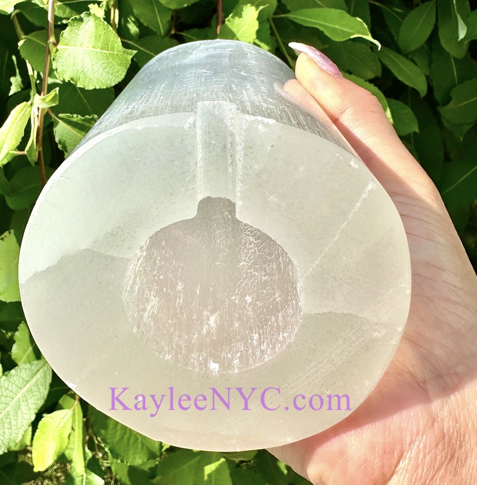 Wholesale Lot 2 Pcs 25cm Natural Selenite Satin Spar Tree Of Life Lamp Crystals