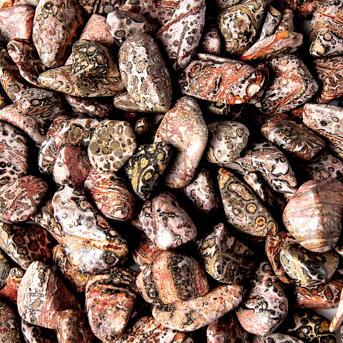 1/2 lb Tumbled Leopard Skin Jasper Gemstone Crystals 60-80 Stones Rock Specimens