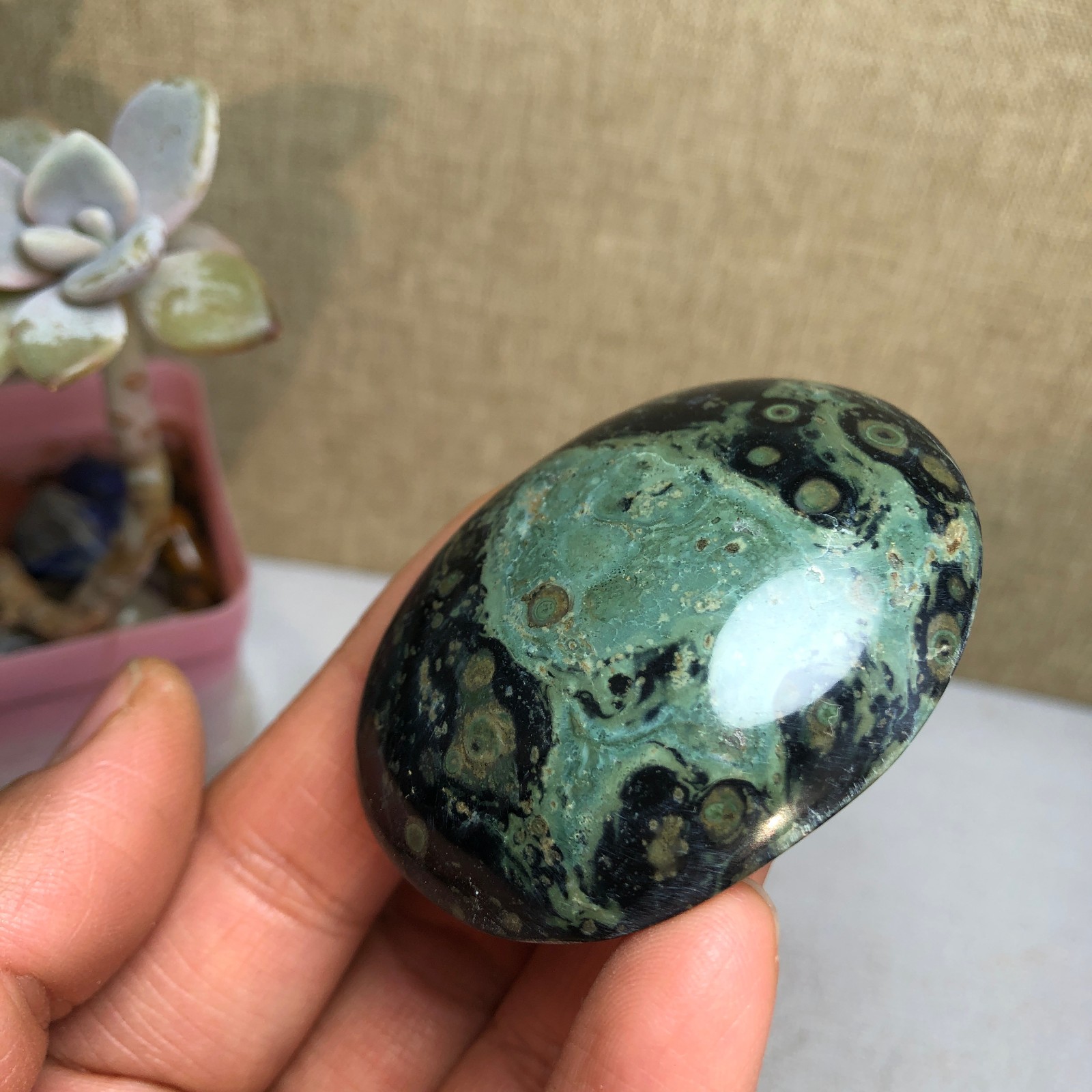 Top Natural Green Kambaba jasper quartz crystal Specimen healing 50g A2601