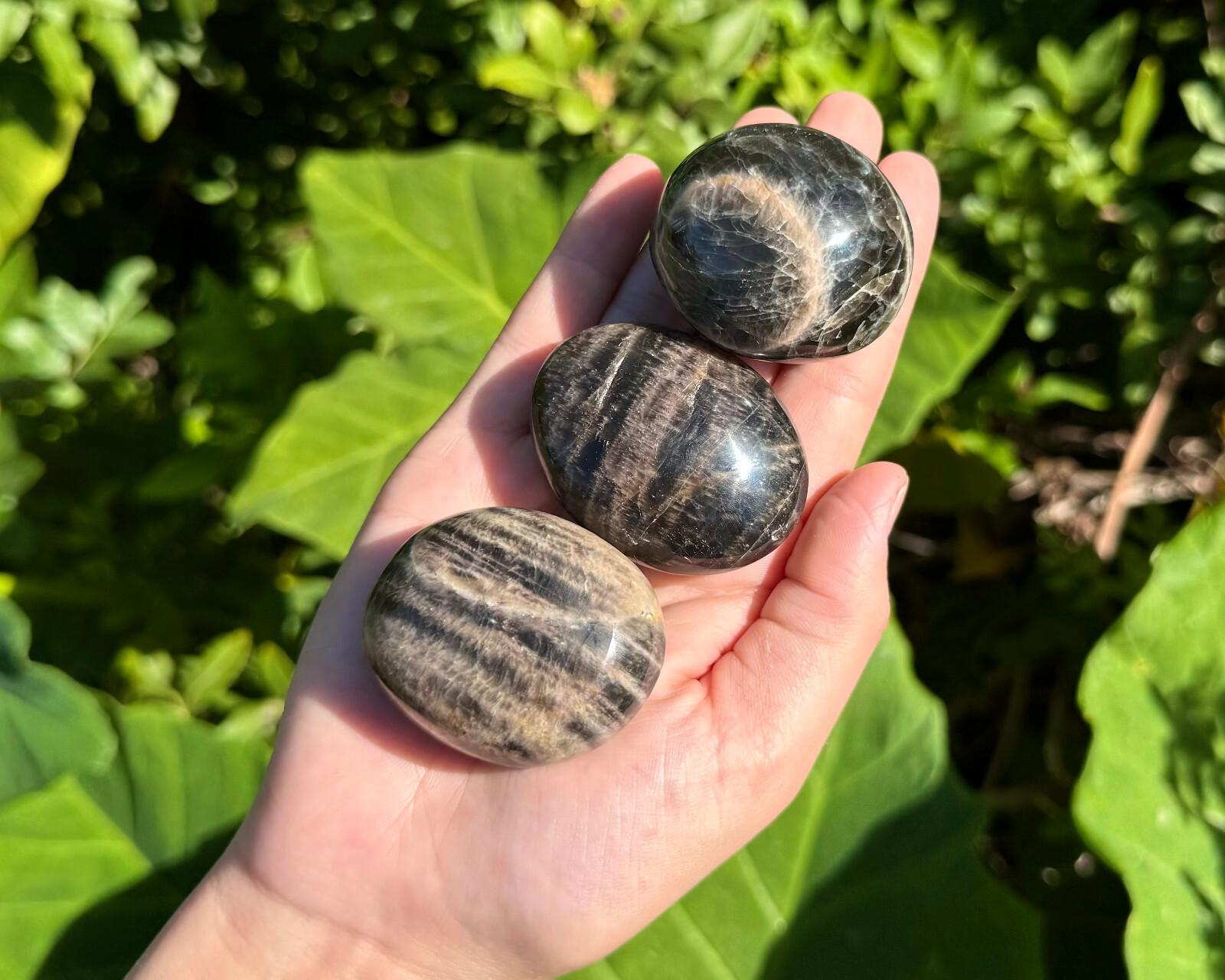 Black Moonstone Hand Polished Palm Stone, ‘A’ Grade Black Moonstone Pebble