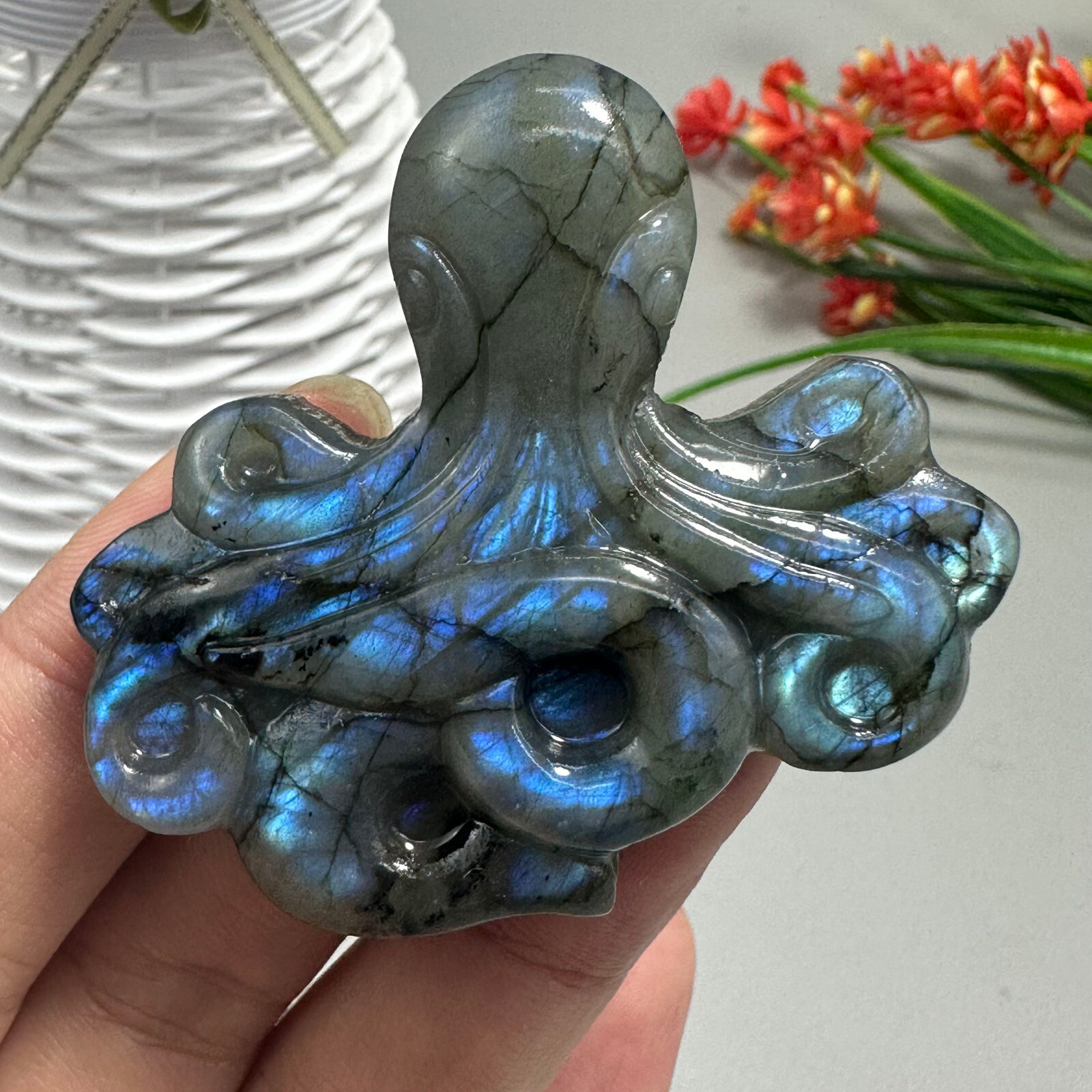Natural Labradorite Carved OCTOPUS Quartz Skull Crystal Specimen Reiki Healing