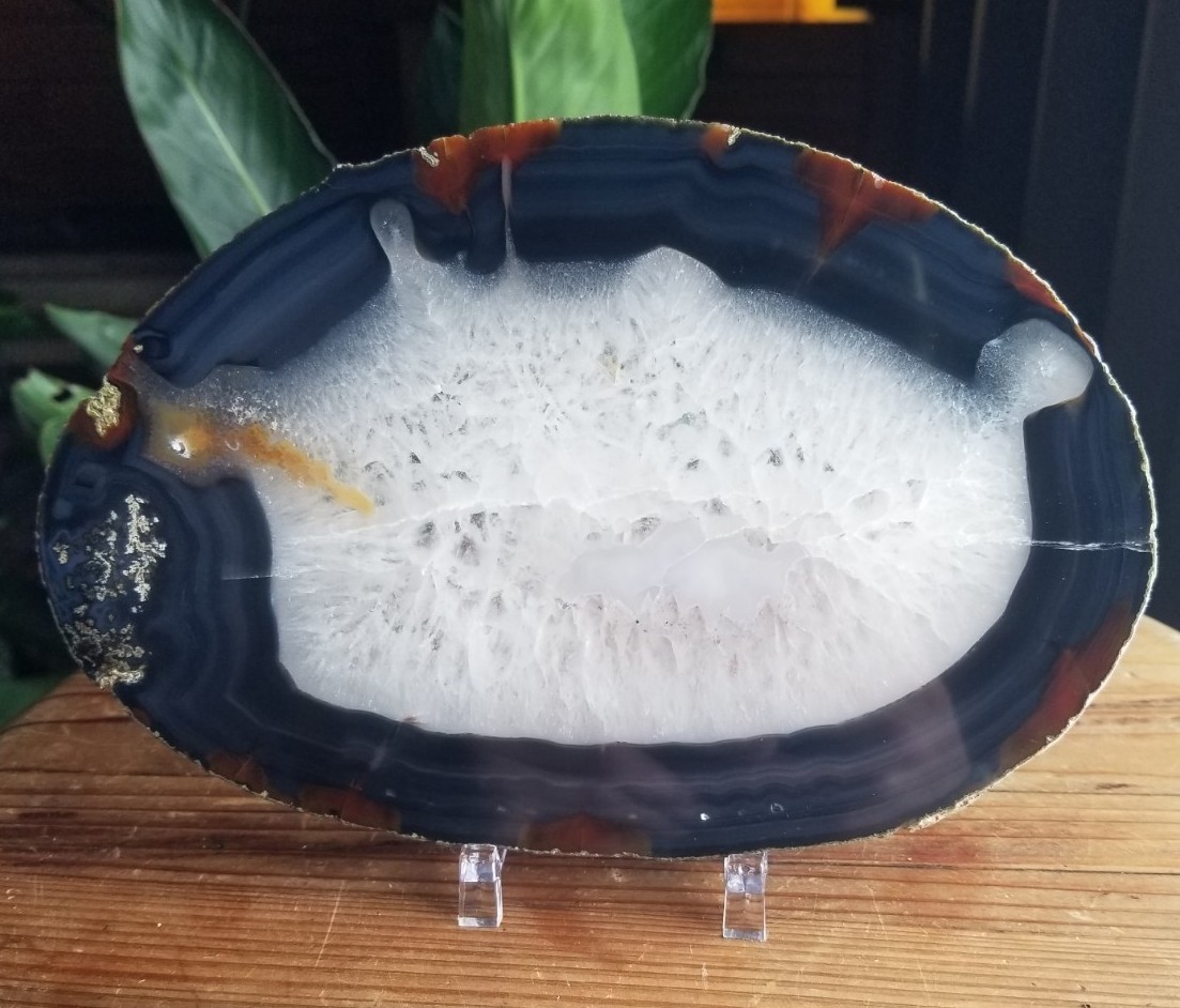 Great 8×5″ Brazil Agate Slab Polished Round Natural Beautiful Translucent Unique
