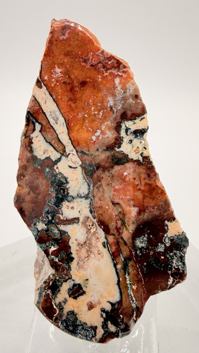 Moroccan Jasper Agate Specimen 3 in Polished Brecciated Jasper Slab 1.25 oz