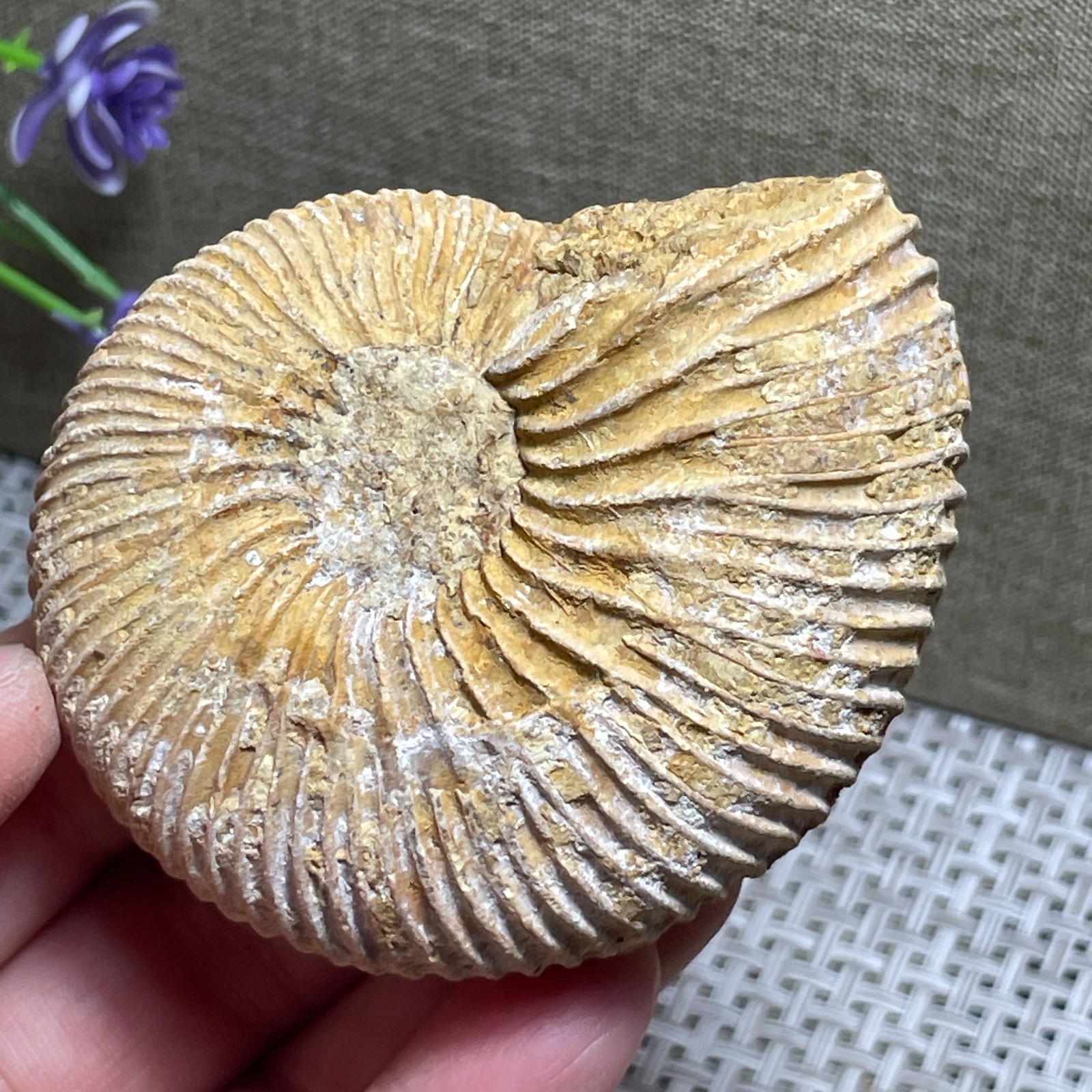 rare rough unpolished white stone Crystal Specimen collection 140g AF19