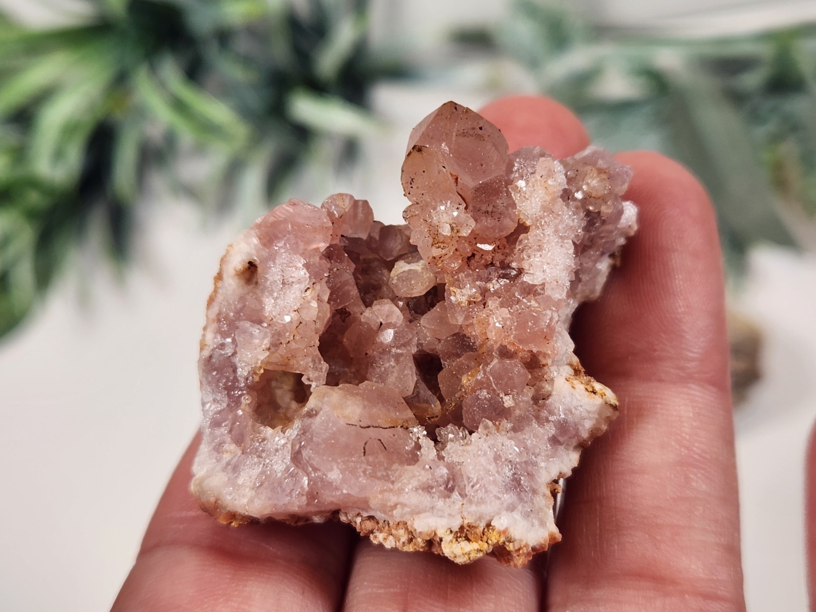 3 Pc Crystal Set Pink Amethyst Geode, Caribbean Calcite, Petrified Wood w Druzy