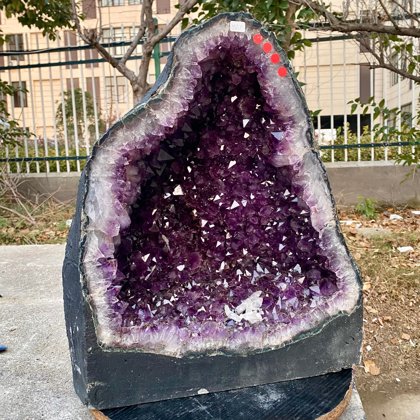 92.8LB Natural Amethyst Geode Quartz Crystal Cluster Cathedral Energy healing