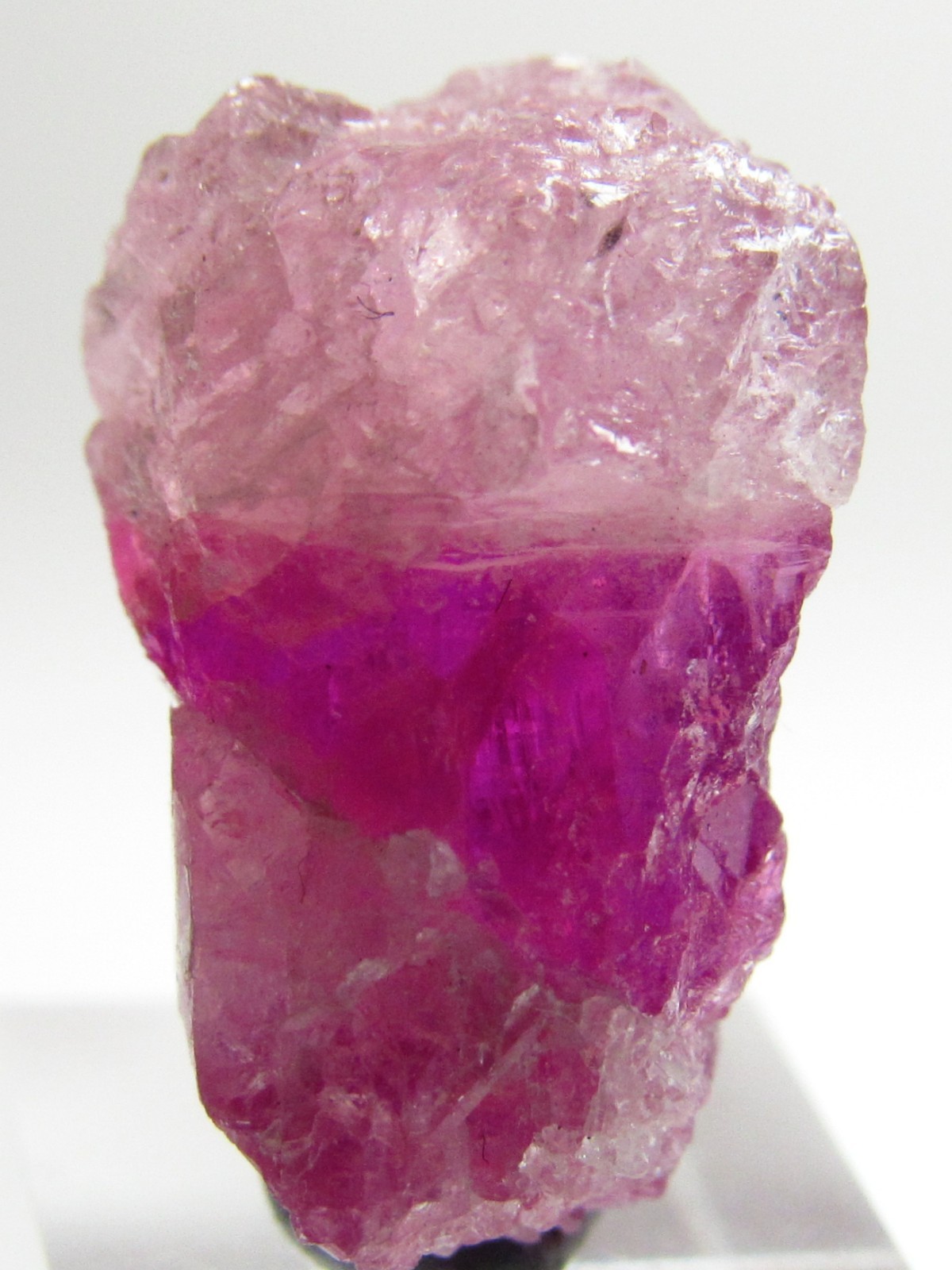 DRAMATIC STUNNING VIBRANT GEM PEZZOTTAITE BERYL CRYSTAL!!! MADAGASCAR NEW FIND