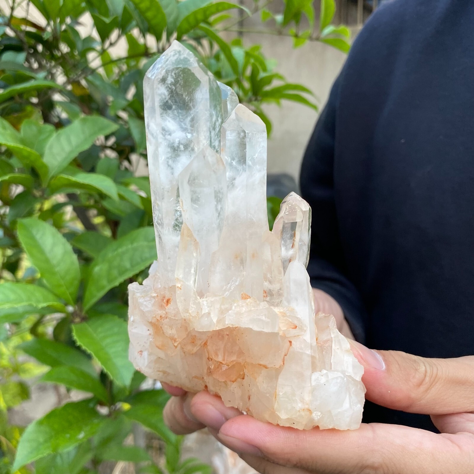 1.2lb Natural Clear White quart Crystal Cluster Raw Healing Specimen