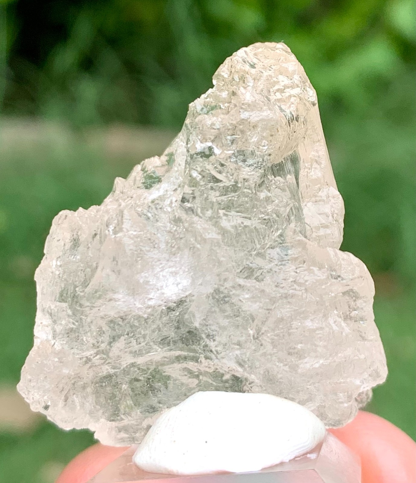146 CT World Rarest Phenakite Crystal From Shengus Mine Rhoundu Skardu Pakistan