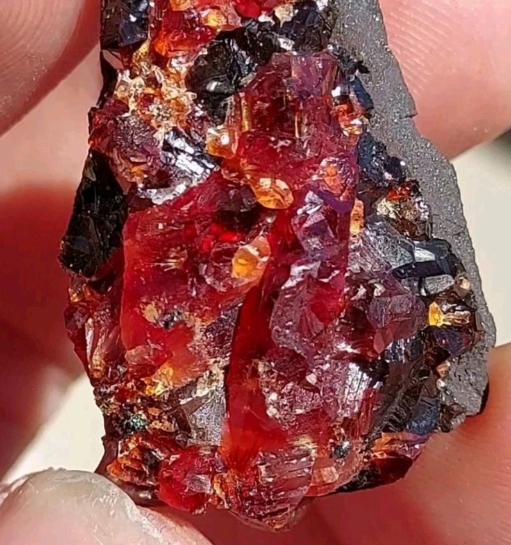 ULTRA RARE GEM RHODOCHROSITE ON MATRIX N’Chwaning I Mine, KMF, South Africa