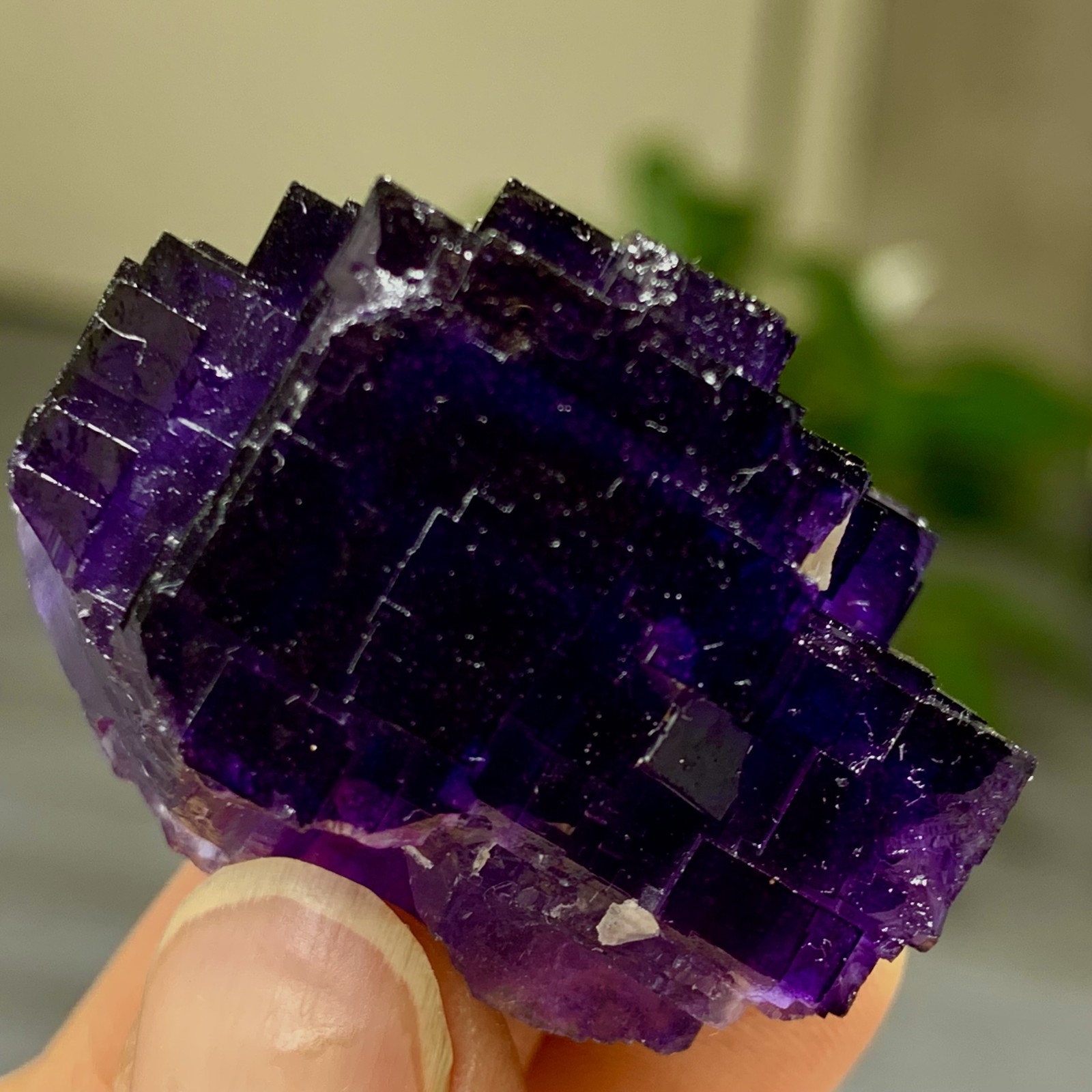 40G Natural purple framed cubic fluorite mineral specimen/Inner Mongolia