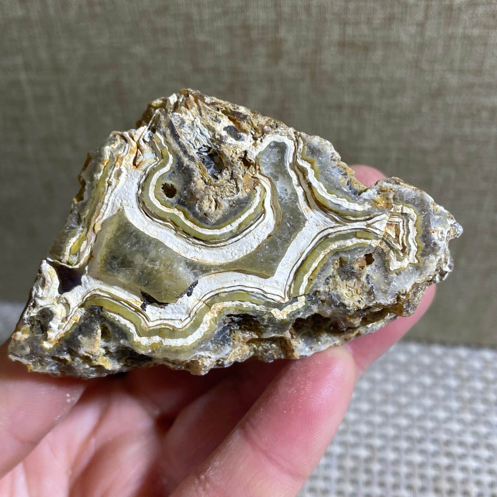 120g Bonsai Suiseki- Gobi Agate Eyes Stone-Rare Stunning Viewing